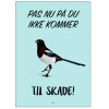 Citatplakat Pas Nu P A4