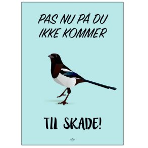 Citatplakat Pas Nu P� 70x100 cm