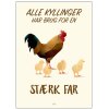 Citatplakat Strk Far A3
