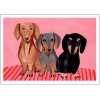 Poster & Frame Iga Kosicka Plakat Dachshunds 30x40 cm