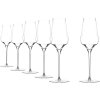 St�lzle Lausitz Cocoon Champagneglas 6 stk. 34 cl, Klar