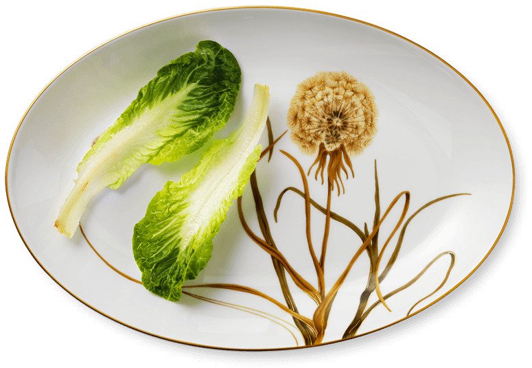 Royal Copenhagen Flora Fad 40 cm, Mlkebtte