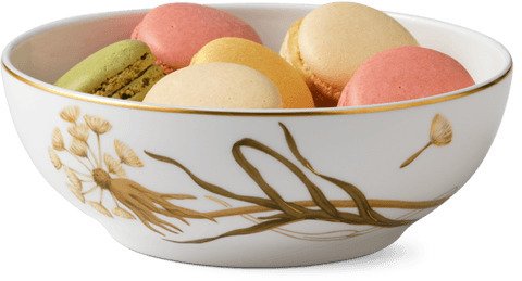 Royal Copenhagen Flora Skl 50cl, Mlkebtte