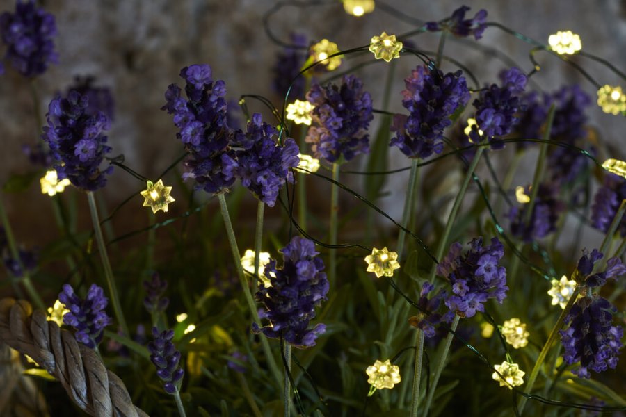 Sirius Sike Lichterkette Mini-Blume mit Timer 3,9 m, Grün/Klar