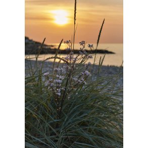 Sirius Michel Blomstergren 45 LED H85 cm