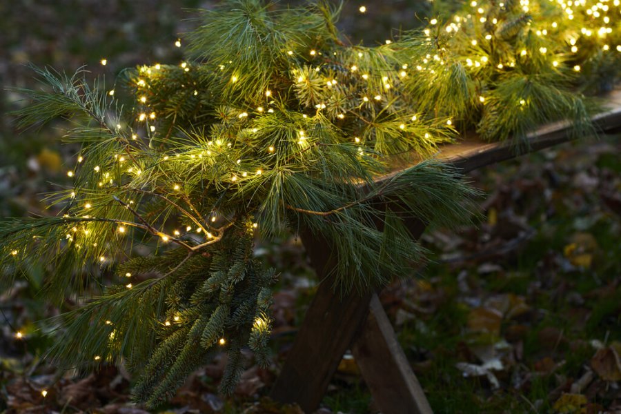 Sirius Knirke Lichterkette 1,5 m, Klar/Grün