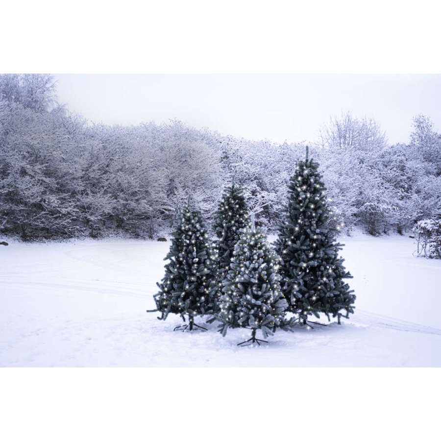 Sirius Anton Weihnachtsbaum 2,1 m, Weiß/Grün