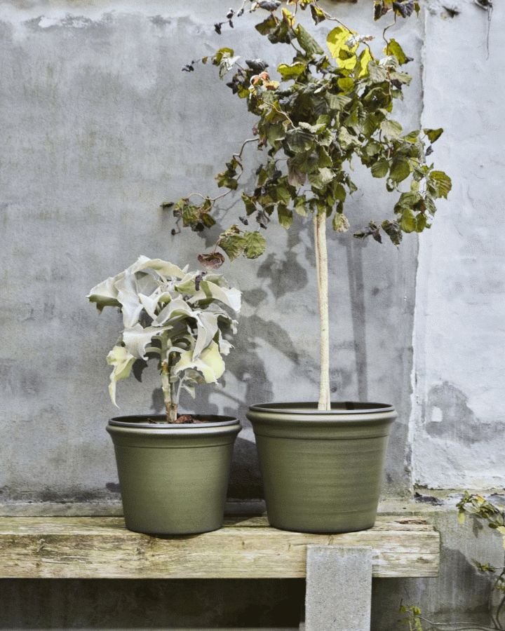 House Doctor Ivy Urtepotte 2 stk, Gr�n