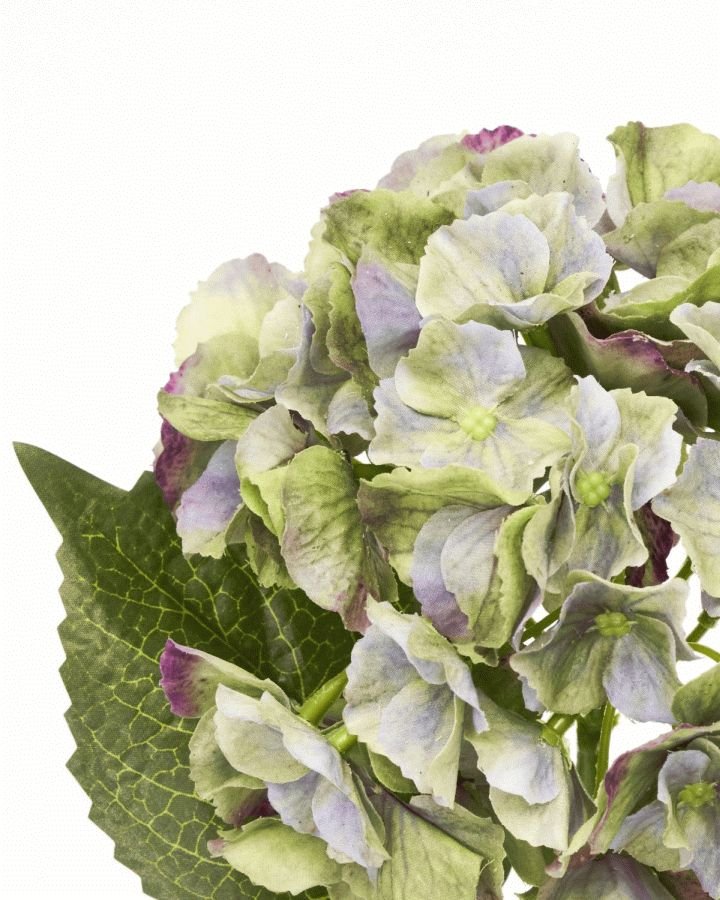 House Doctor Hydrangea Kunstig Plante 50 cm, Gr�n