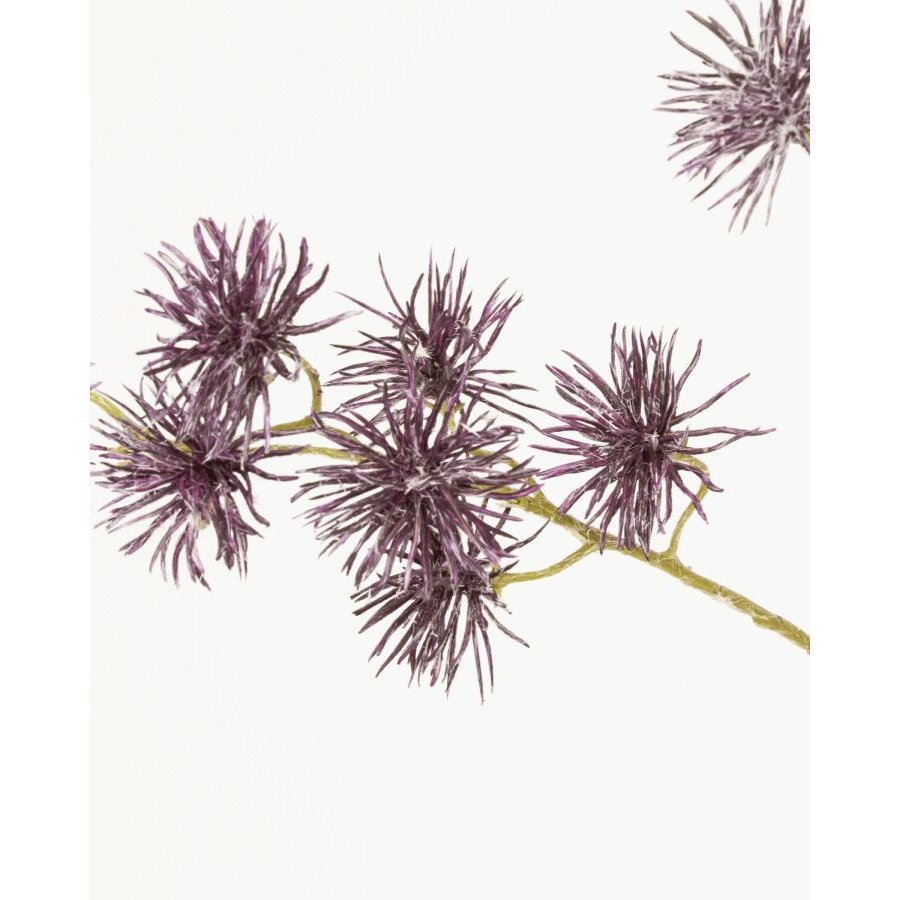 House Doctor Globe Kunstig Plante 65 cm, Brun/Gr�n