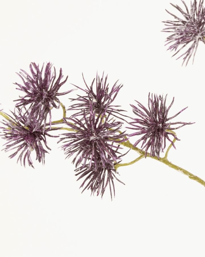 House Doctor Globe Kunstig Plante 65 cm, Brun/Gr�n