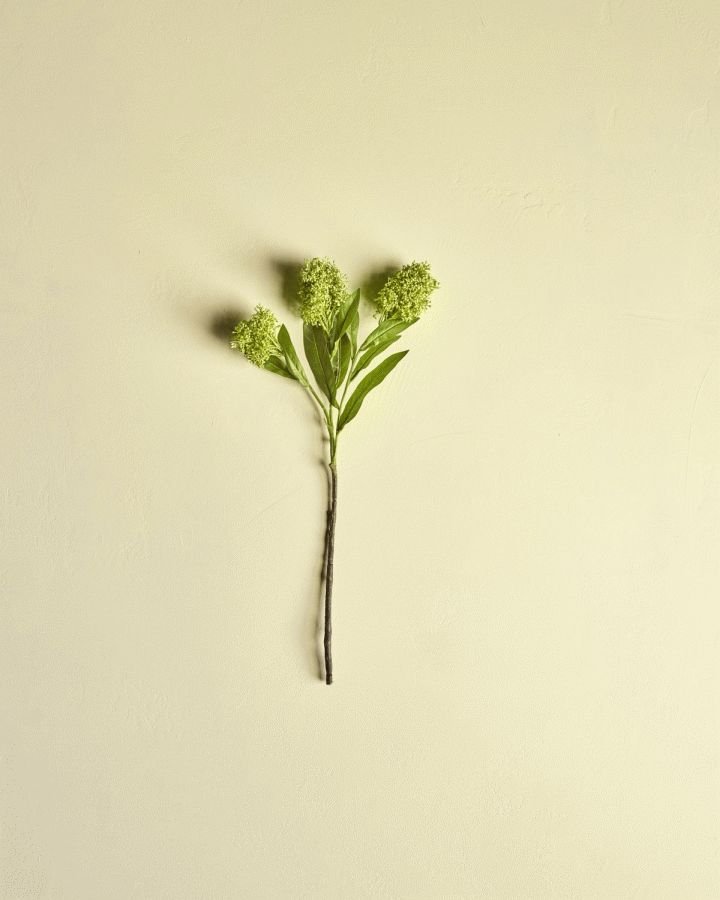 House Doctor Skimmia Kunstig Plante 55 cm, Gr�n