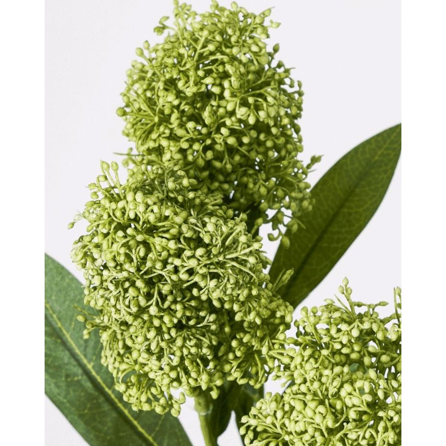 House Doctor Skimmia Kunstig Plante 55 cm, Gr�n
