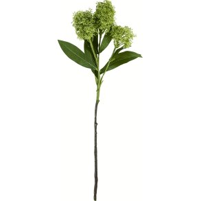 House Doctor Skimmia Kunstig Plante 55 cm, Gr�n