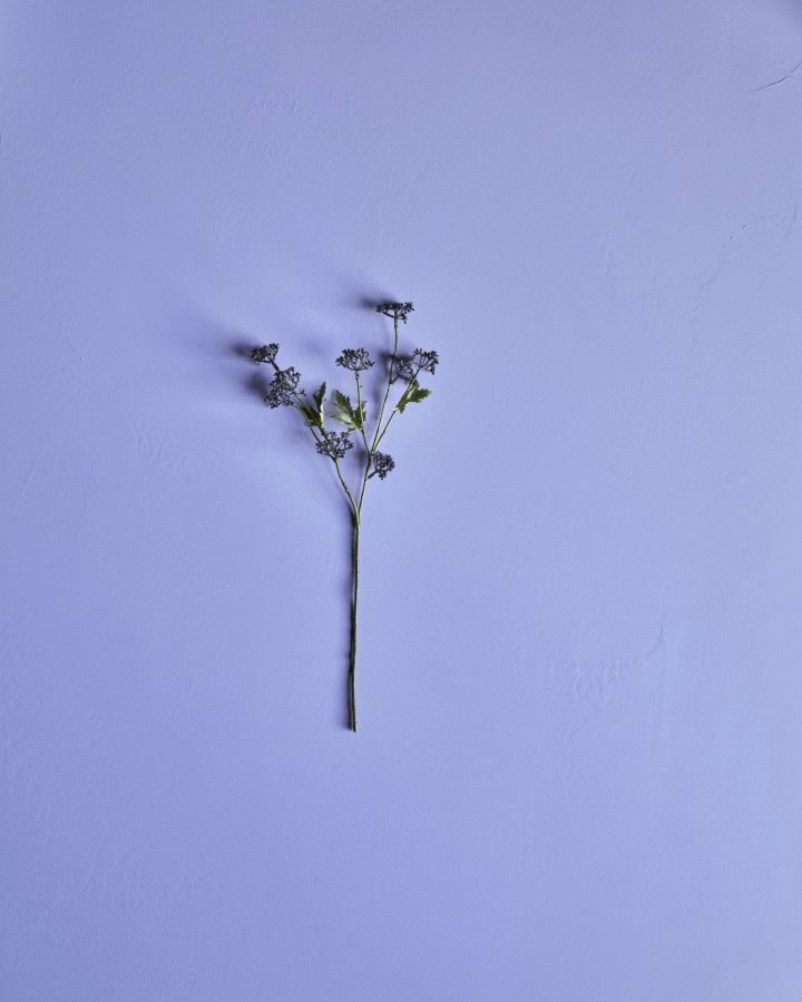 House Doctor Greenleaves Kunstig Plante 55 cm, Brun/Gr�n