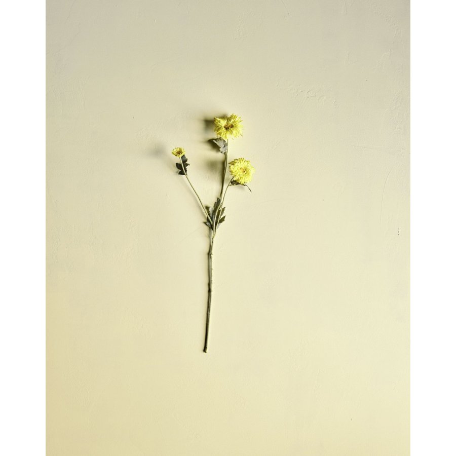 House Doctor Gerbera Kunstig Plante 70 cm, Gul