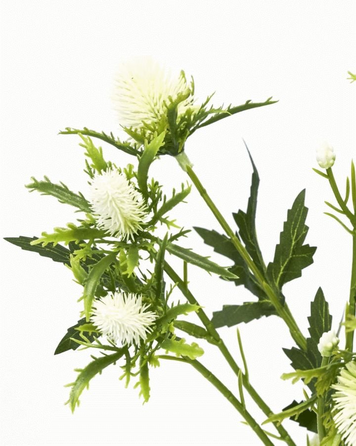 House Doctor Eryngium Kunstig Plante 67 cm, Hvid