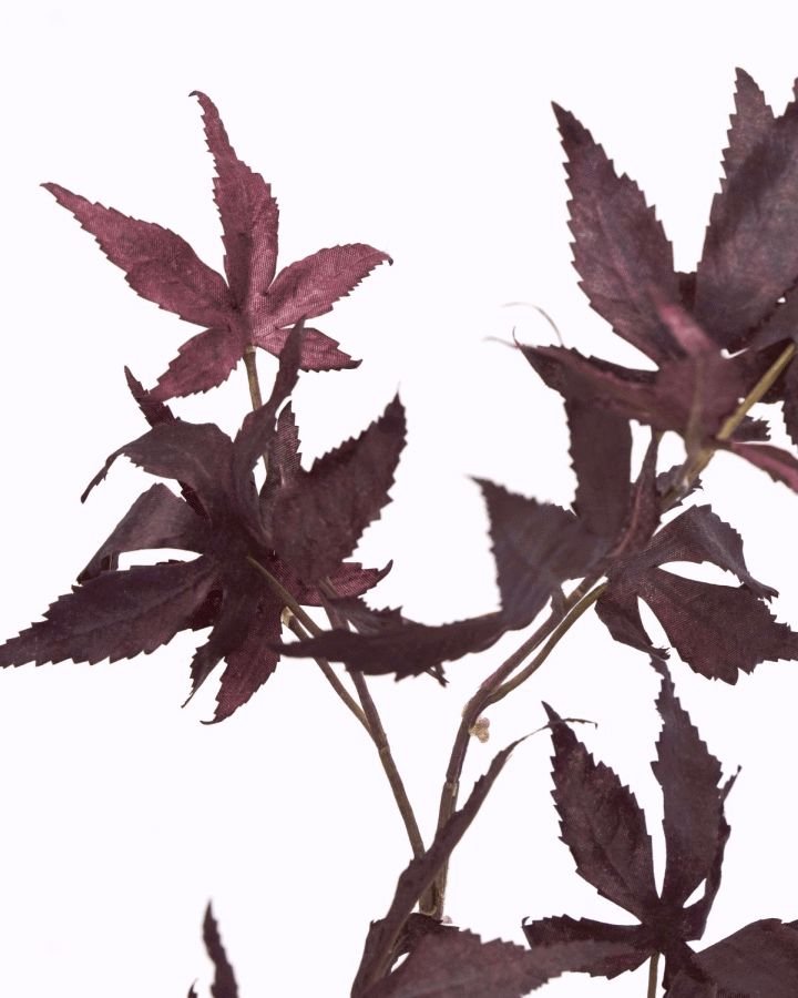 House Doctor Maple Kunstig Plante 90 cm, Brun