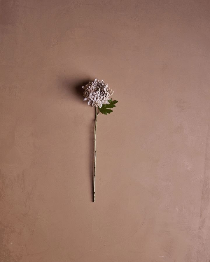 House Doctor Chrysanthemum Kunstig Plante 60 cm, R�d