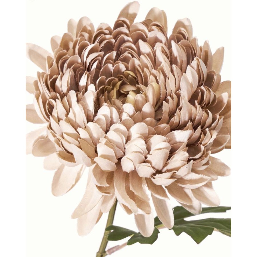 House Doctor Chrysanthemum Kunstig Plante 60 cm, R�d