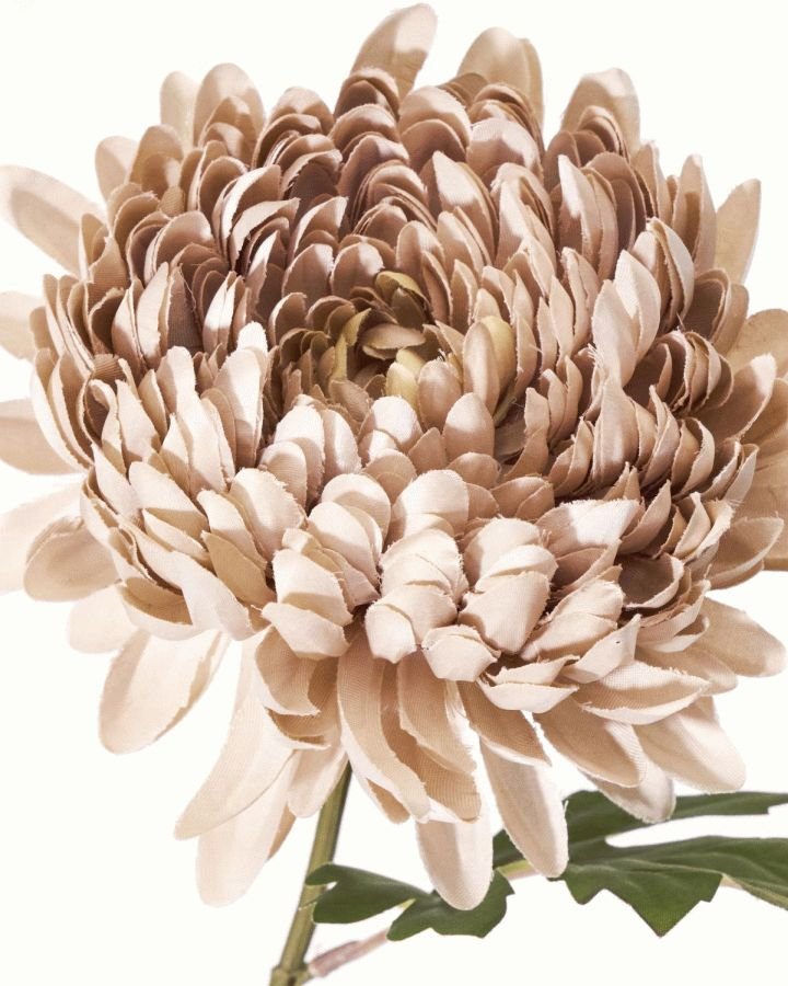 House Doctor Chrysanthemum Kunstig Plante 60 cm, R�d