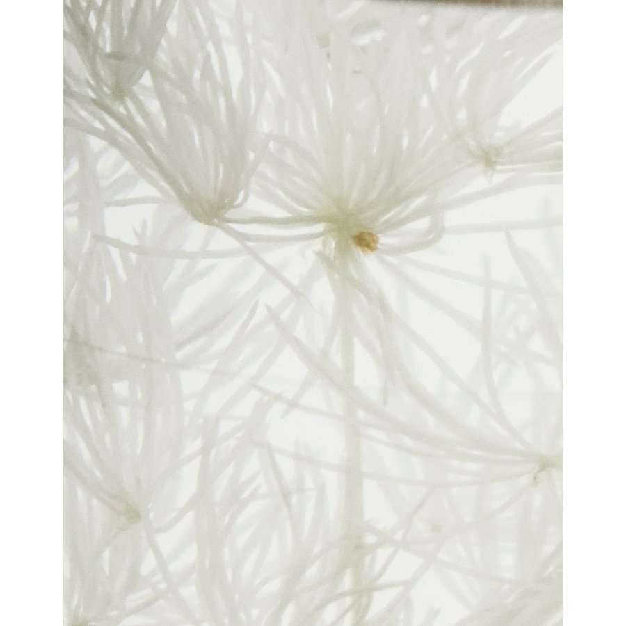 Meraki Diffuser 240 ml, Lilac Muse