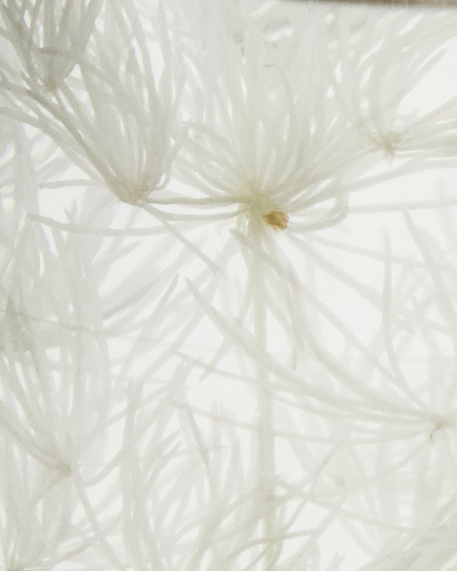 Meraki Diffuser 240 ml, Lilac Muse