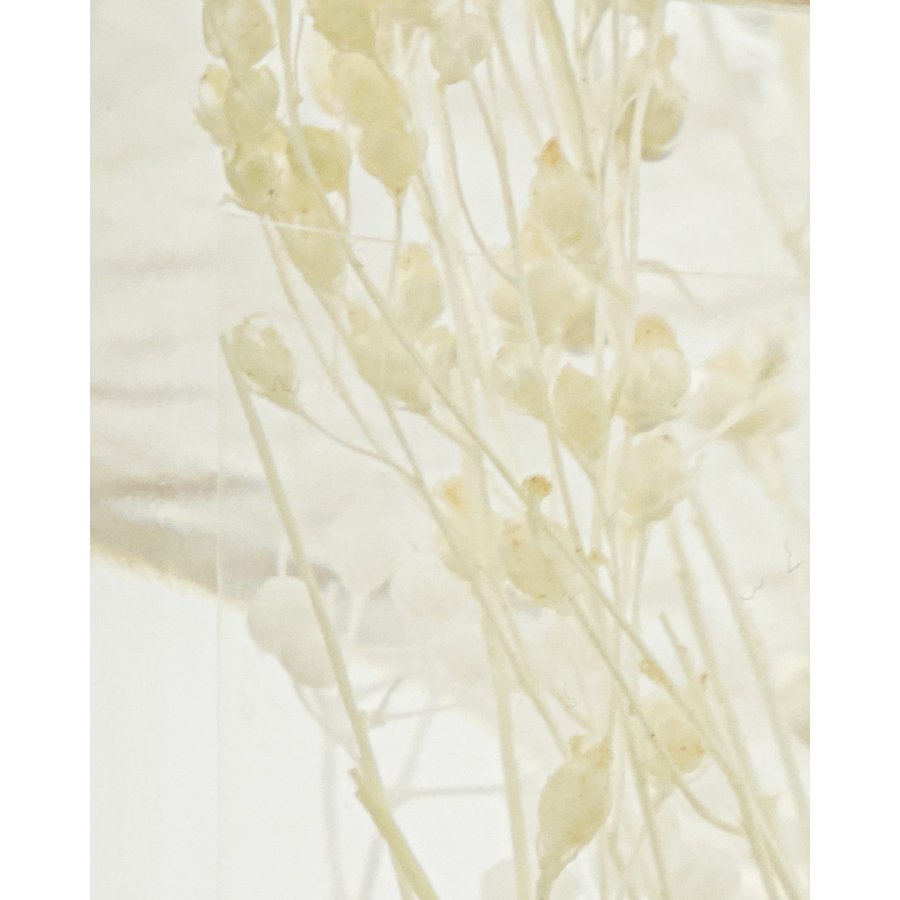 Meraki Diffuser 240 ml, Vivid Shades