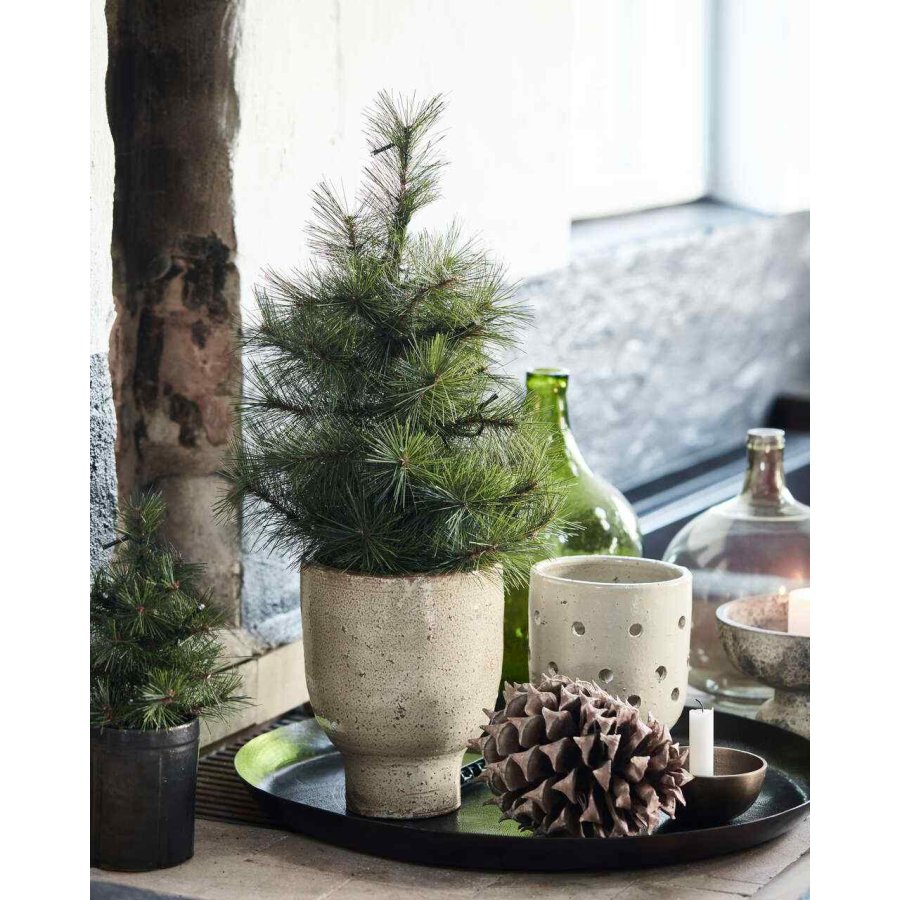 House Doctor Pinus Juletr m. LED H60 cm