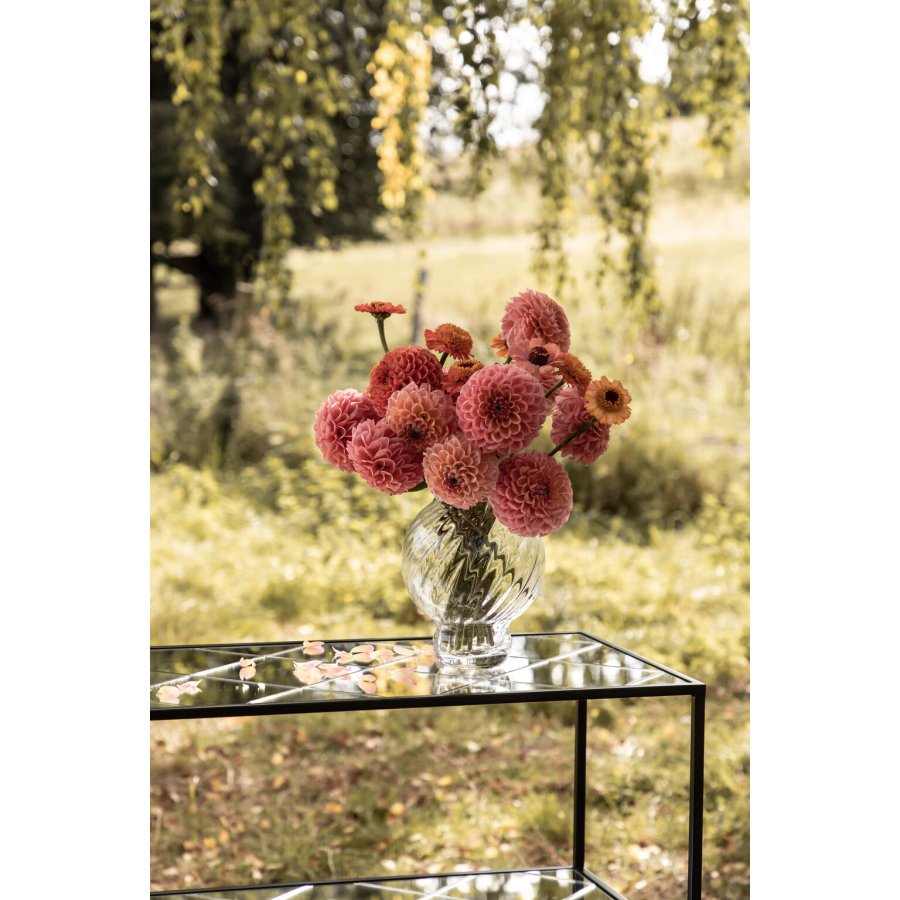 Specktrum Meadow Swirl Vase H20 cm, Klar