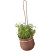 Rig-Tig GROW-IT Urtepotteskjuler, Terracotta