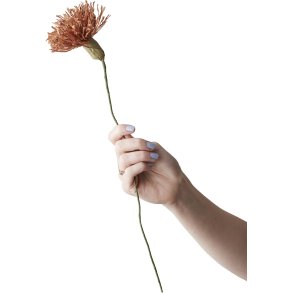 Studio About Papirblomst Chrysanthemum 42 cm, Mørk Okker