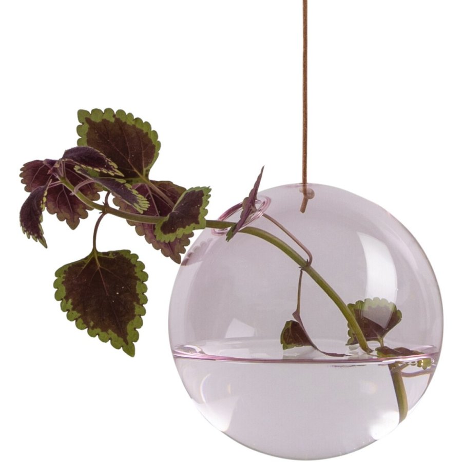 Studio About Hanging Flower Bubble H�ngevaser �11 cm, Rosa