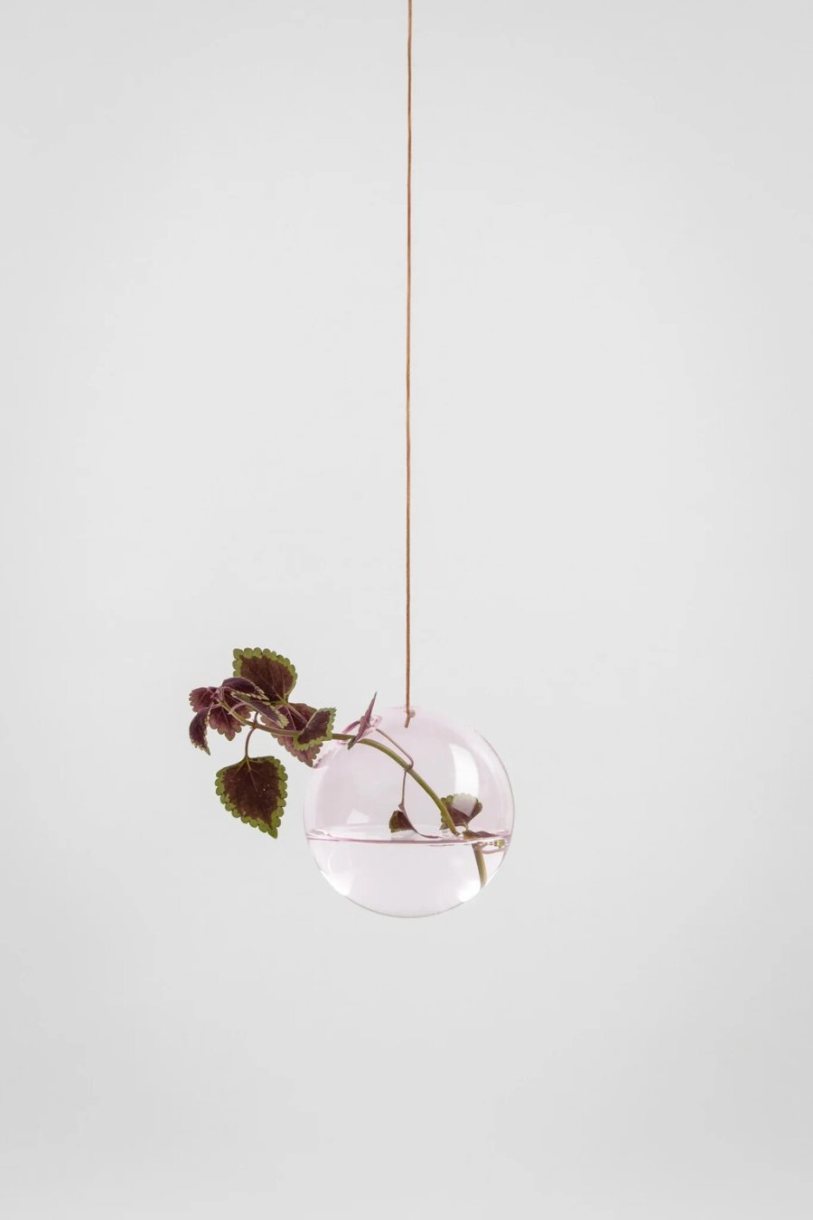 Studio About Hanging Flower Bubble H�ngevaser �11 cm, Rosa
