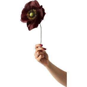 Studio About Papierblume Klatschmohn 40 cm, Braun