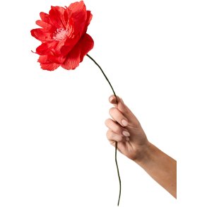 Studio About Papirblomst Oriental Poppy 43 cm, Rød