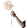 Studio About Papierblume Grand Dahlia 46 cm, Nude