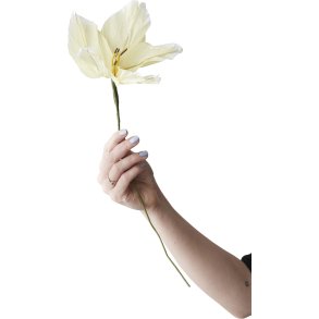 Studio About Papirblomst Lily 45 cm, Gul