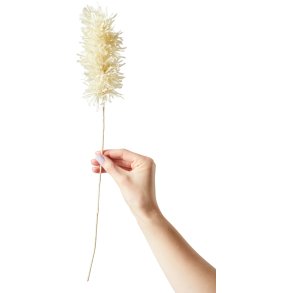 Studio About Papierblume Pampas 44 cm, Sand