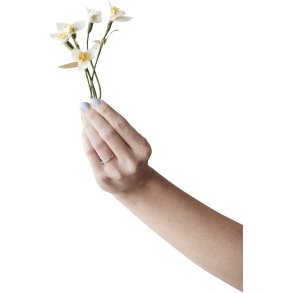 Studio About Papierblume Schneeglckchen 5 Stk. 18 cm, Wei