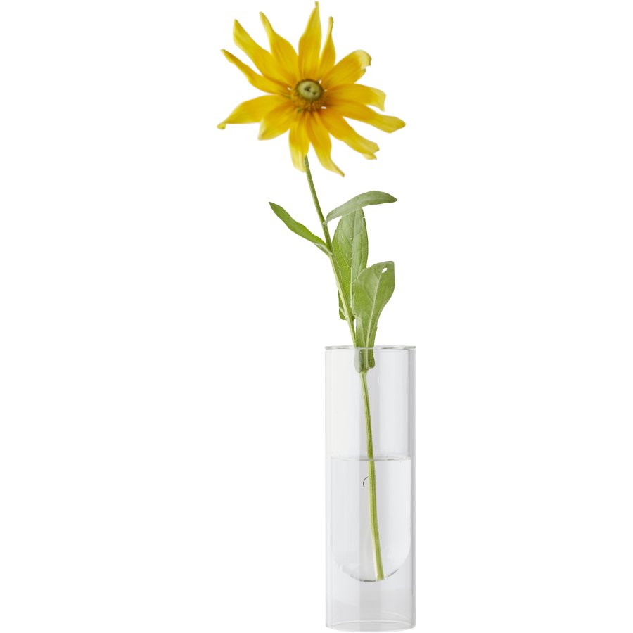 Studio About Flower Tube Vase H20 cm, Klar