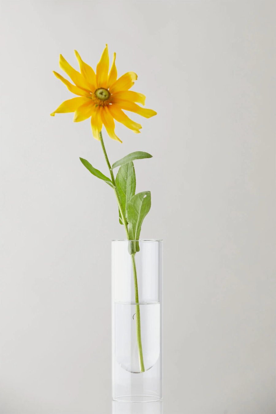 Studio About Flower Tube Vase H20 cm, Klar