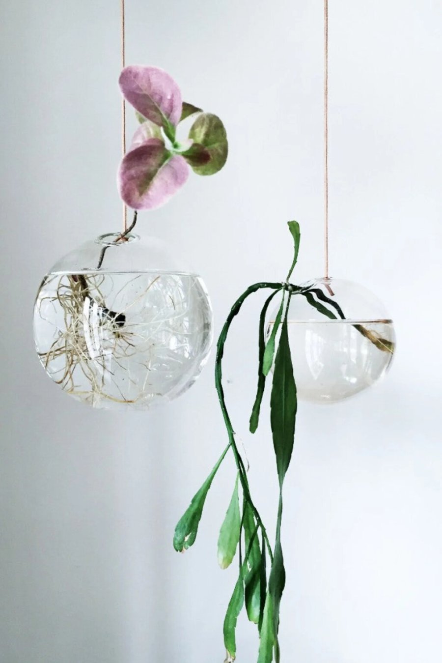 Studio About Hanging Flower Bubble Hngevaser 8 cm, Klar