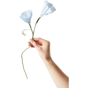 Studio About Papirblomst Morning Glory 43 cm, Blå