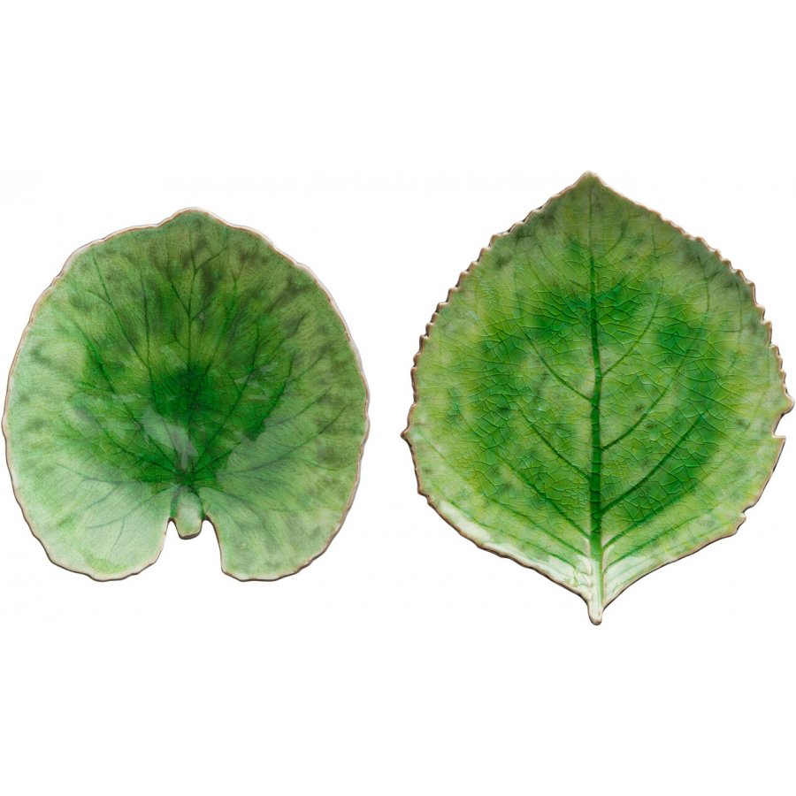 Costa Nova Riviera Tallerkens�t �kande & Hortensia, Gr�n/Sort