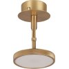UMAGE Asteria Spot/Vglampe LED 12 cm, Belagt Messing
