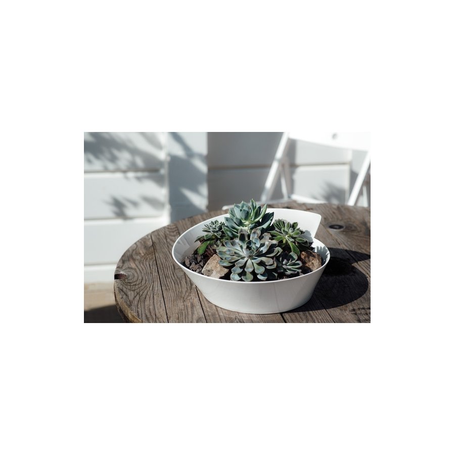 Villeroy & Boch NewWave Salatschssel 34 cm, Wei