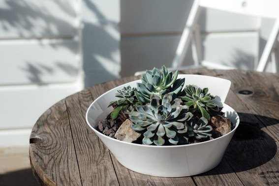 Villeroy & Boch NewWave Salatschssel 34 cm, Wei