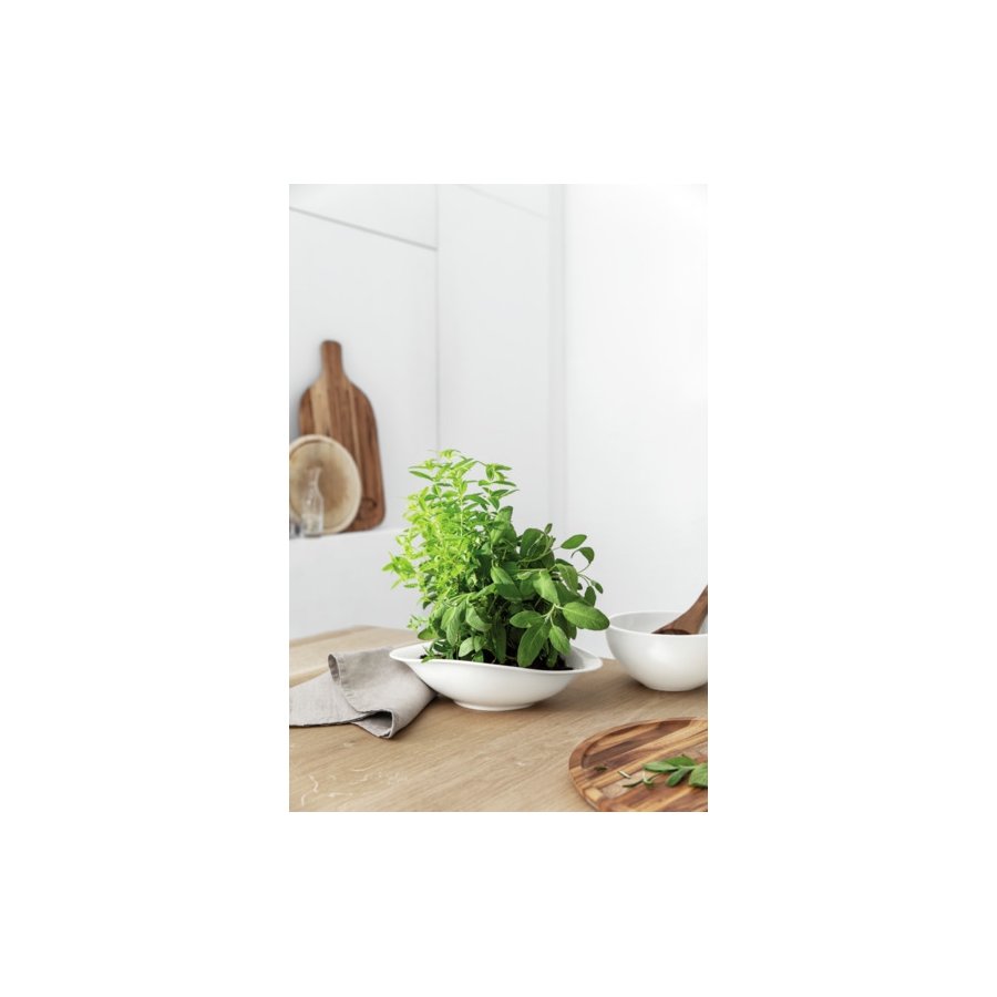 Villeroy & Boch Vapiano Pastateller 2er Set 28 cm, Wei
