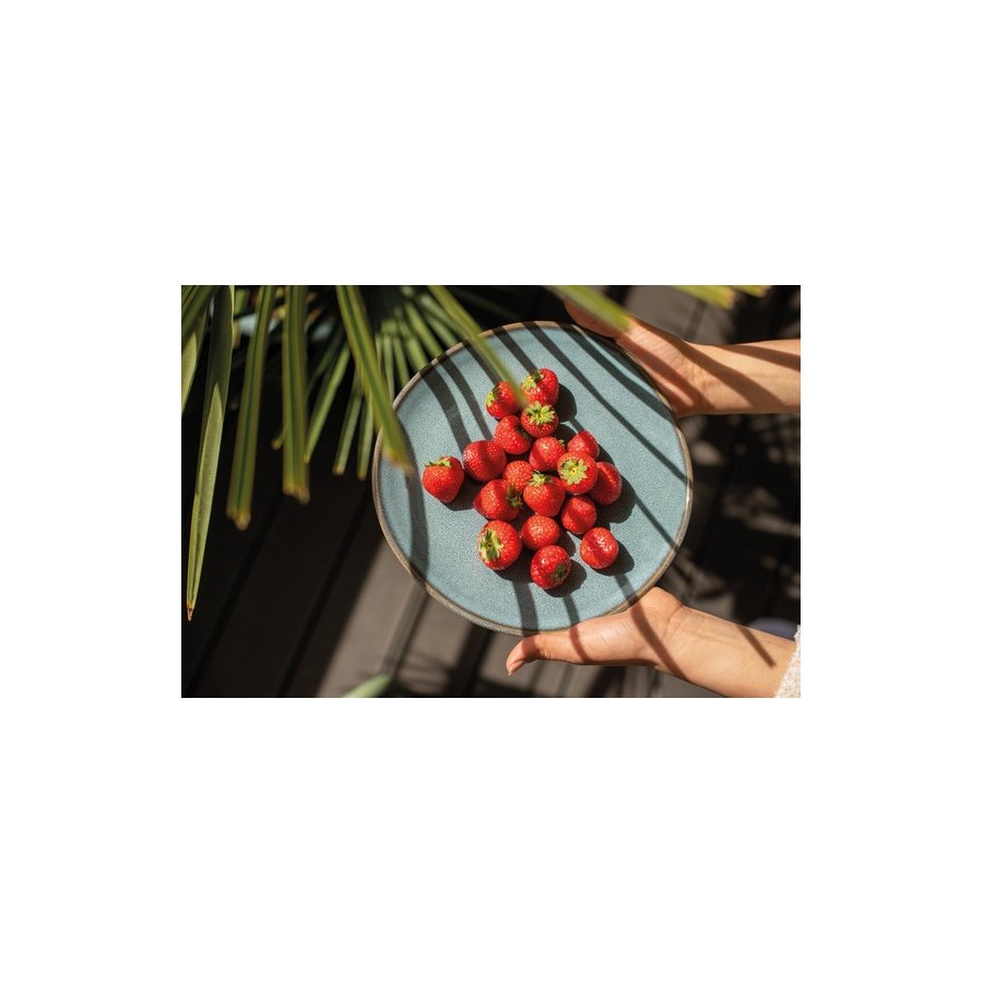Villeroy & Boch Lave Tallerken 23,5 cm, Bl
